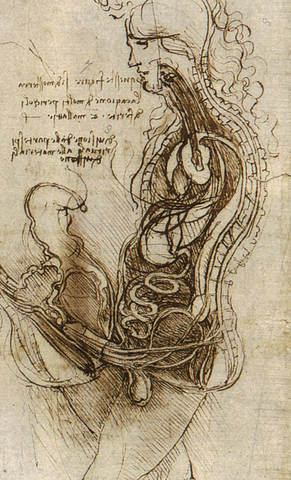 Coition of a Hemisected Man and Woman